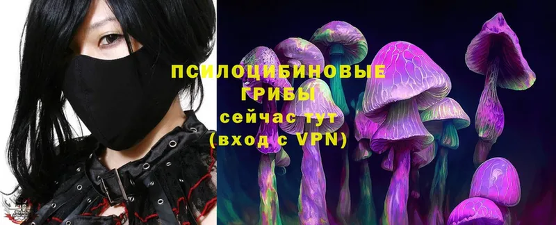 Галлюциногенные грибы Psilocybe  mega ССЫЛКА  Гаврилов Посад 